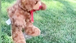 Dangerous snake 3