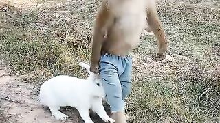 Good_job_Best_SokYaa,OG,_Pao___Mom_Are_Famous_Around_The_World_#shorts(480p).
