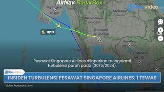 singapore airlines flight turbulence Reddit video