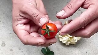 Flower growth in home