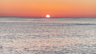 "Blissful Bliss: A Day Immersed in Joy!"