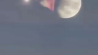 Dragon ball 9