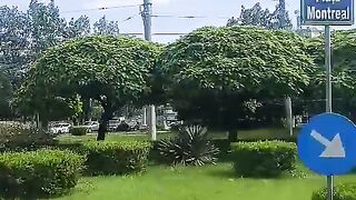 Green 4