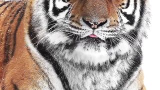 Natural beauty... 2