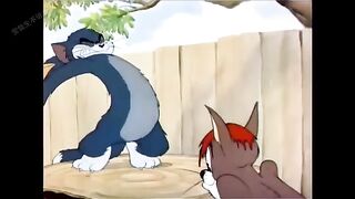 Tom and Jerry x Anime