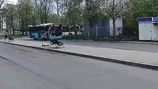 Bus driver 2