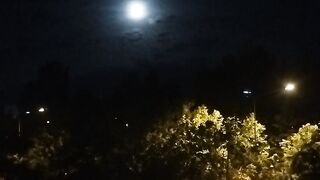 Moonlight 5