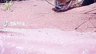 python 2