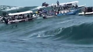 video 430