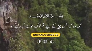 القرآن 19