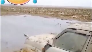 most viral funny shorts 2024||funny moments||youtube shorts||funny videos 2022||funny memes||funny pets 6