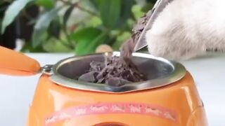 The Most Delicious Lu #petts #kittygod #cat #food #foodlower #foodi #cookingcat #burger