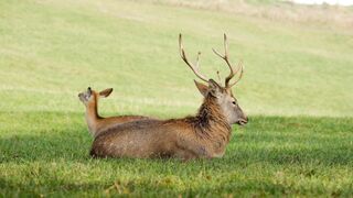 Nature beauty 022