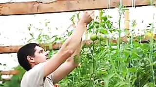 modern Farming Technology