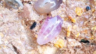 I Found Hidden Treasures Diamonds