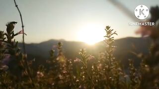 Relaxing nature sounds_ Most beautiful Islamic Dua_ very nice