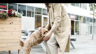 beautiful dog is jumping ????????????cute dog is jumping his master