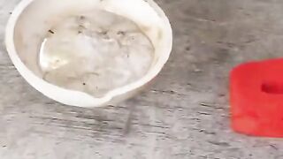 Amazing Experiment