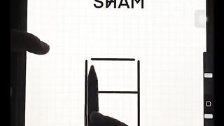 Sham name in stylish form