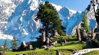 Fairy Meadows Pakistan