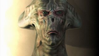 You can't finish this | Viral Videos From All Over the world