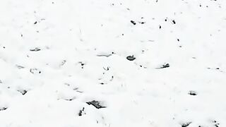 New snow fall
