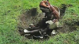 Carnotaurus Attitude status