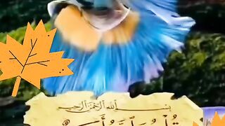 Surah ikhlas 4