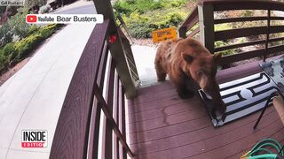 Why Some People Are Installing Electric Fences on Their Doors