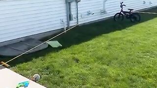 Very beautiful video 8