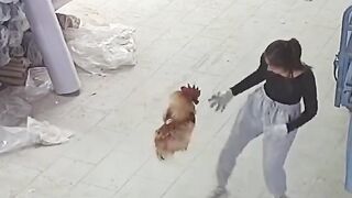 Try to not laugh ????????