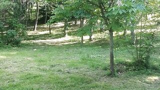 Park Bucharest