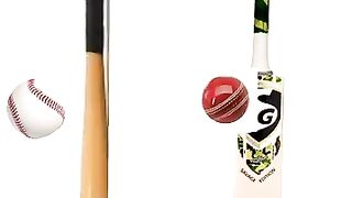 Baseball Vs Cricket Differences ????_