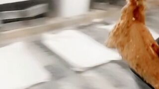 Goat fry and steem recpie . Full watch video . Subscribe chenel.