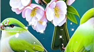 دعاء الصباح 2