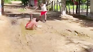 Try_Not_To_Laugh!!