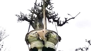 Hovering amidst the sky
