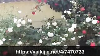 Flowers 25