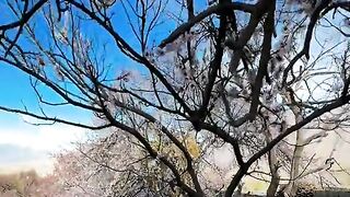 status,status video,status song,status whatsap,beast song,good song,video,natural 410