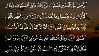 video 460