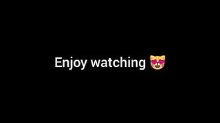 funny video cats and dogs