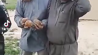 الكمأة ٣