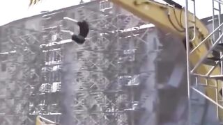 Man jump satisfying short video