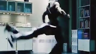 Subscribe to win 100€ in comment