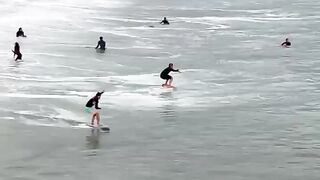 Free cash flow statement best explains why the hell I don't know what to