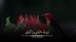 video 469