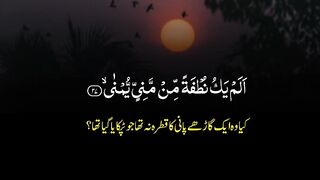 video 471