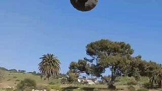 How many flips_!_