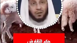 التفاوض مع البائع
