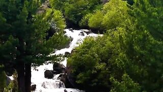 status,status video,status song,status whatsap,beast song,good song,video,natural 437